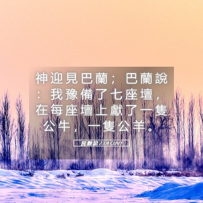 Picture 05 - 民 數 記 23:4 CUVT - 神 迎 見 巴 蘭 ； 巴 蘭 說 ： 我 豫 - Bible Verse Picture