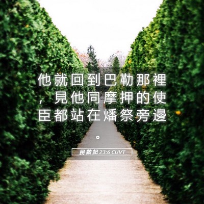 Picture 05 - 民 數 記 23:6 CUVT - 他 就 回 到 巴 勒 那 裡 ， 見 他 同 - Bible Verse Picture