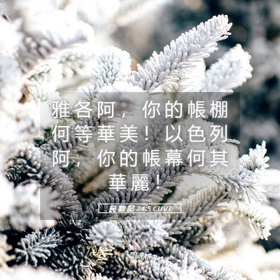 Picture 05 - 民 數 記 24:5 CUVT - 雅 各 阿 ， 你 的 帳 棚 何 等 華 美 - Bible Verse Picture
