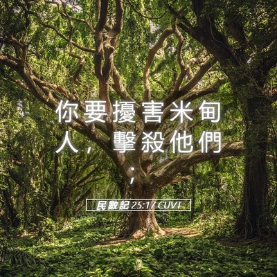 Picture 05 - 民 數 記 25:17 CUVT - 你 要 擾 害 米 甸 人 ， 擊 殺 他 們 - Bible Verse Picture