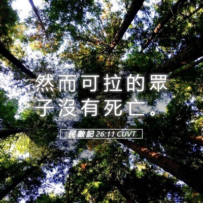 Picture 05 - 民 數 記 26:11 CUVT - 然 而 可 拉 的 眾 子 沒 有 死 亡 - Bible Verse Picture