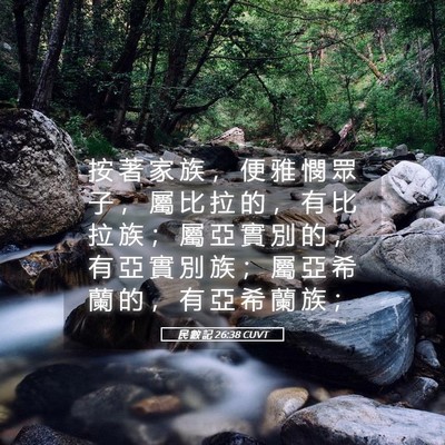 Picture 05 - 民 數 記 26:38 CUVT - 按 著 家 族 ， 便 雅 憫 眾 子 ， 屬 - Bible Verse Picture