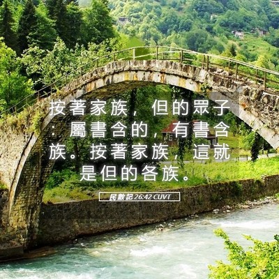 Picture 05 - 民 數 記 26:42 CUVT - 按 著 家 族 ， 但 的 眾 子 ： 屬 書 - Bible Verse Picture