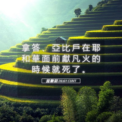Picture 05 - 民 數 記 26:61 CUVT - 拿 答 、 亞 比 戶 在 耶 和 華 面 前 - Bible Verse Picture