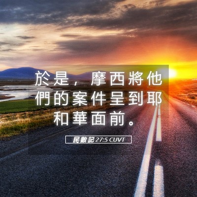 Picture 05 - 民 數 記 27:5 CUVT - 於 是 ， 摩 西 將 他 們 的 案 件 呈 - Bible Verse Picture