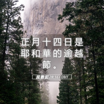 Picture 05 - 民 數 記 28:16 CUVT - 正 月 十 四 日 是 耶 和 華 的 逾 越 - Bible Verse Picture