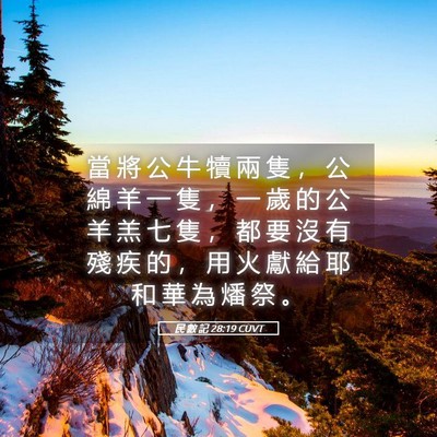 Picture 05 - 民 數 記 28:19 CUVT - 當 將 公 牛 犢 兩 隻 ， 公 綿 羊 一 - Bible Verse Picture