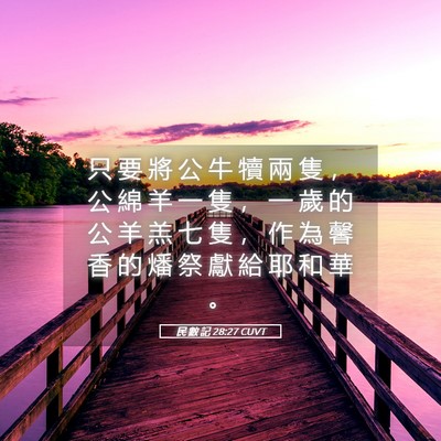 Picture 05 - 民 數 記 28:27 CUVT - 只 要 將 公 牛 犢 兩 隻 ， 公 綿 羊 - Bible Verse Picture