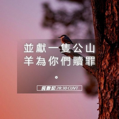 Picture 05 - 民 數 記 28:30 CUVT - 並 獻 一 隻 公 山 羊 為 你 們 贖 罪 - Bible Verse Picture