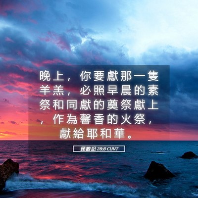 Picture 05 - 民 數 記 28:8 CUVT - 晚 上 ， 你 要 獻 那 一 隻 羊 羔 ， - Bible Verse Picture