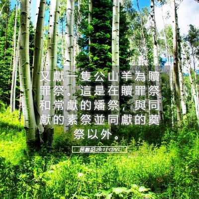 Picture 05 - 民 數 記 29:11 CUVT - 又 獻 一 隻 公 山 羊 為 贖 罪 祭 。 - Bible Verse Picture