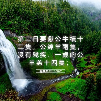 Picture 05 - 民 數 記 29:17 CUVT - 第 二 日 要 獻 公 牛 犢 十 二 隻 ， - Bible Verse Picture