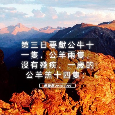 Picture 05 - 民 數 記 29:20 CUVT - 第 三 日 要 獻 公 牛 十 一 隻 ， 公 - Bible Verse Picture