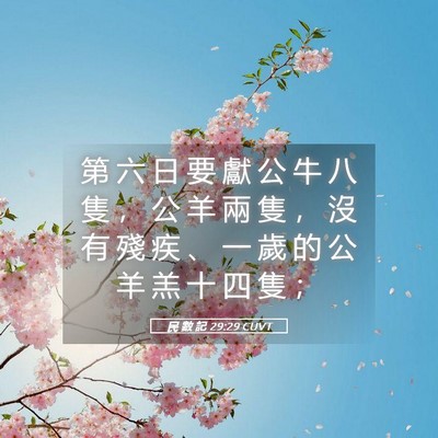 Picture 05 - 民 數 記 29:29 CUVT - 第 六 日 要 獻 公 牛 八 隻 ， 公 羊 - Bible Verse Picture