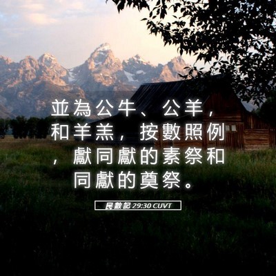 Picture 05 - 民 數 記 29:30 CUVT - 並 為 公 牛 、 公 羊 ， 和 羊 羔 ， - Bible Verse Picture