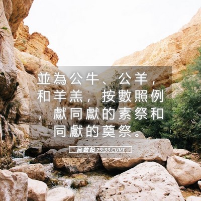 Picture 05 - 民 數 記 29:33 CUVT - 並 為 公 牛 、 公 羊 ， 和 羊 羔 ， - Bible Verse Picture