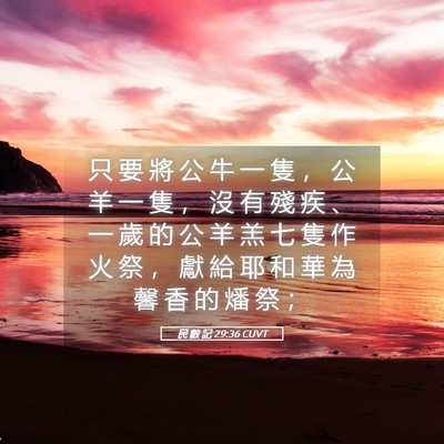 Picture 05 - 民 數 記 29:36 CUVT - 只 要 將 公 牛 一 隻 ， 公 羊 一 隻 - Bible Verse Picture