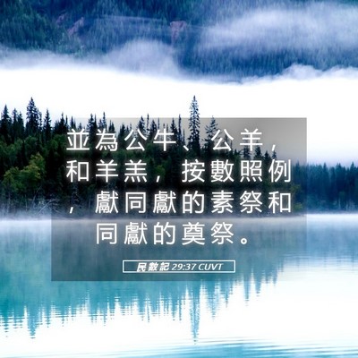 Picture 05 - 民 數 記 29:37 CUVT - 並 為 公 牛 、 公 羊 ， 和 羊 羔 ， - Bible Verse Picture