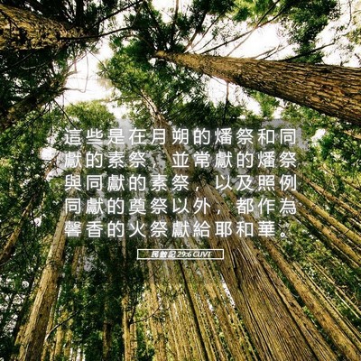 Picture 05 - 民 數 記 29:6 CUVT - 這 些 是 在 月 朔 的 燔 祭 和 同 獻 - Bible Verse Picture