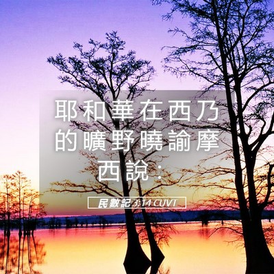 Picture 05 - 民 數 記 3:14 CUVT - 耶 和 華 在 西 乃 的 曠 野 曉 諭 摩 - Bible Verse Picture