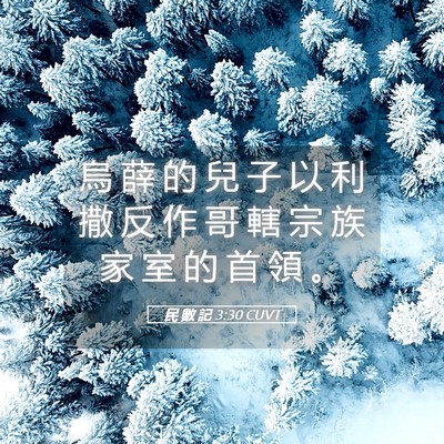 Picture 05 - 民 數 記 3:30 CUVT - 烏 薛 的 兒 子 以 利 撒 反 作 哥 轄 - Bible Verse Picture