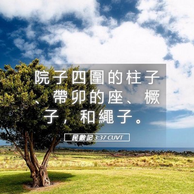 Picture 05 - 民 數 記 3:37 CUVT - 院 子 四 圍 的 柱 子 、 帶 卯 的 座 - Bible Verse Picture