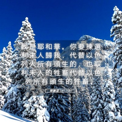 Picture 05 - 民 數 記 3:41 CUVT - 我 是 耶 和 華 。 你 要 揀 選 利 未 - Bible Verse Picture