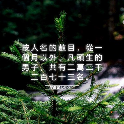 Picture 05 - 民 數 記 3:43 CUVT - 按 人 名 的 數 目 ， 從 一 個 月 以 - Bible Verse Picture