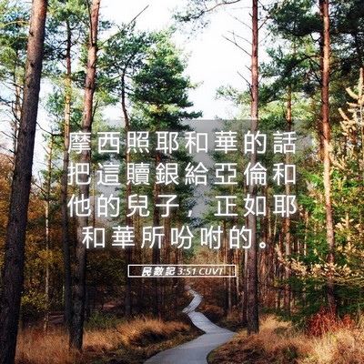 Picture 05 - 民 數 記 3:51 CUVT - 摩 西 照 耶 和 華 的 話 把 這 贖 銀 - Bible Verse Picture