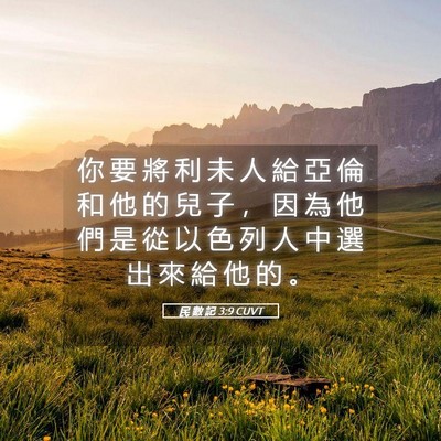 Picture 05 - 民 數 記 3:9 CUVT - 你 要 將 利 未 人 給 亞 倫 和 他 的 - Bible Verse Picture