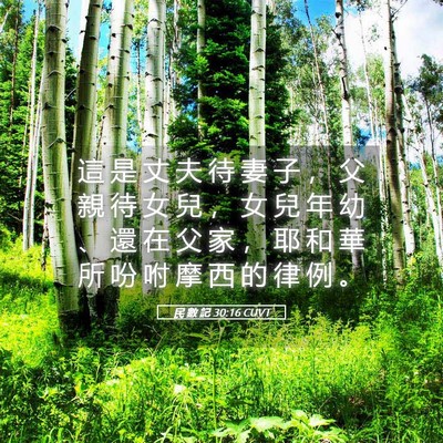 Picture 05 - 民 數 記 30:16 CUVT - 這 是 丈 夫 待 妻 子 ， 父 親 待 女 - Bible Verse Picture