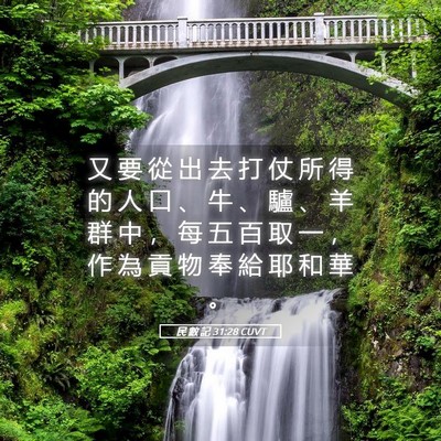 Picture 05 - 民 數 記 31:28 CUVT - 又 要 從 出 去 打 仗 所 得 的 人 口 - Bible Verse Picture