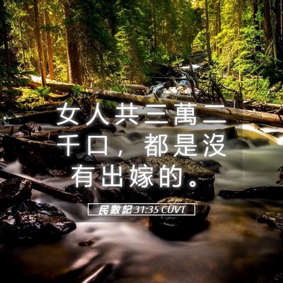 Picture 05 - 民 數 記 31:35 CUVT - 女 人 共 三 萬 二 千 口 ， 都 是 沒 - Bible Verse Picture