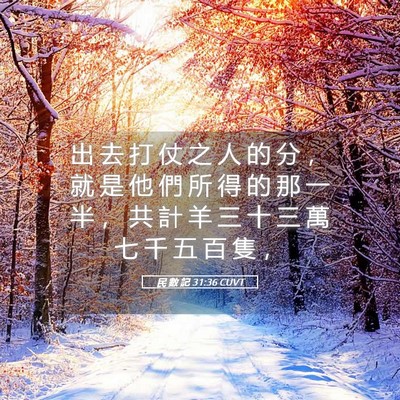 Picture 05 - 民 數 記 31:36 CUVT - 出 去 打 仗 之 人 的 分 ， 就 是 他 - Bible Verse Picture