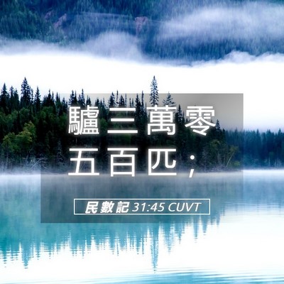 Picture 05 - 民 數 記 31:45 CUVT - 驢 三 萬 零 五 百 匹 - Bible Verse Picture