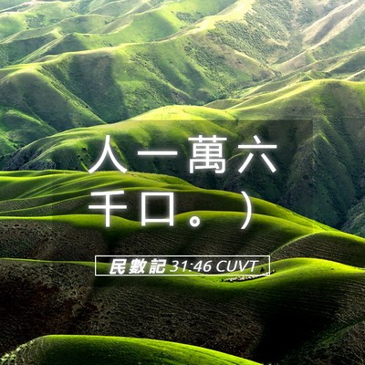 Picture 05 - 民 數 記 31:46 CUVT - 人 一 萬 六 千 口 。 - Bible Verse Picture