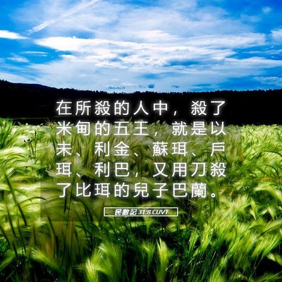 Picture 05 - 民 數 記 31:8 CUVT - 在 所 殺 的 人 中 ， 殺 了 米 甸 的 - Bible Verse Picture