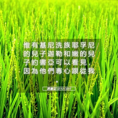 Picture 05 - 民 數 記 32:12 CUVT - 惟 有 基 尼 洗 族 耶 孚 尼 的 兒 子 - Bible Verse Picture