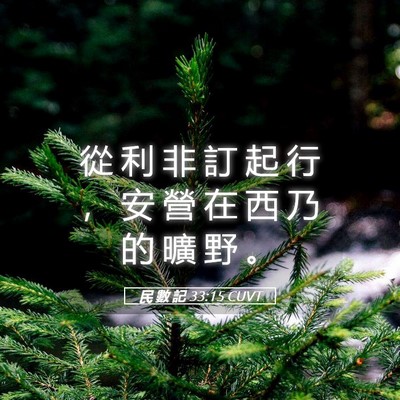 Picture 05 - 民 數 記 33:15 CUVT - 從 利 非 訂 起 行 ， 安 營 在 西 乃 - Bible Verse Picture
