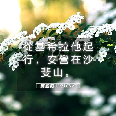 Picture 05 - 民 數 記 33:23 CUVT - 從 基 希 拉 他 起 行 ， 安 營 在 沙 - Bible Verse Picture