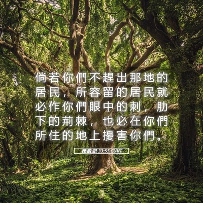 Picture 05 - 民 數 記 33:55 CUVT - 倘 若 你 們 不 趕 出 那 地 的 居 民 - Bible Verse Picture