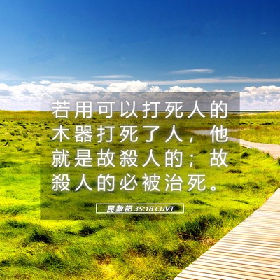Picture 05 - 民 數 記 35:18 CUVT - 若 用 可 以 打 死 人 的 木 器 打 死 - Bible Verse Picture