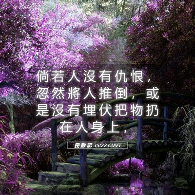 Picture 05 - 民 數 記 35:22 CUVT - 倘 若 人 沒 有 仇 恨 ， 忽 然 將 人 - Bible Verse Picture