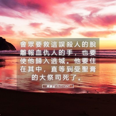 Picture 05 - 民 數 記 35:25 CUVT - 會 眾 要 救 這 誤 殺 人 的 脫 離 報 - Bible Verse Picture