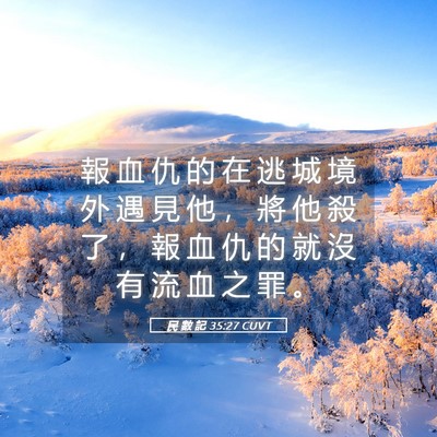 Picture 05 - 民 數 記 35:27 CUVT - 報 血 仇 的 在 逃 城 境 外 遇 見 他 - Bible Verse Picture