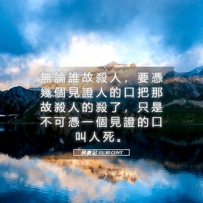 Picture 05 - 民 數 記 35:30 CUVT - 無 論 誰 故 殺 人 ， 要 憑 幾 個 見 - Bible Verse Picture
