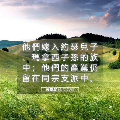 Picture 05 - 民 數 記 36:12 CUVT - 他 們 嫁 入 約 瑟 兒 子 、 瑪 拿 西 - Bible Verse Picture