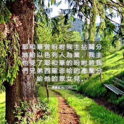 Picture 05 - 民 數 記 36:2 CUVT - 耶 和 華 曾 吩 咐 我 主 拈 鬮 分 地 - Bible Verse Picture