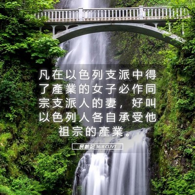 Picture 05 - 民 數 記 36:8 CUVT - 凡 在 以 色 列 支 派 中 得 了 產 業 - Bible Verse Picture