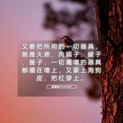 Picture 05 - 民 數 記 4:14 CUVT - 又 要 把 所 用 的 一 切 器 具 ， 就 - Bible Verse Picture
